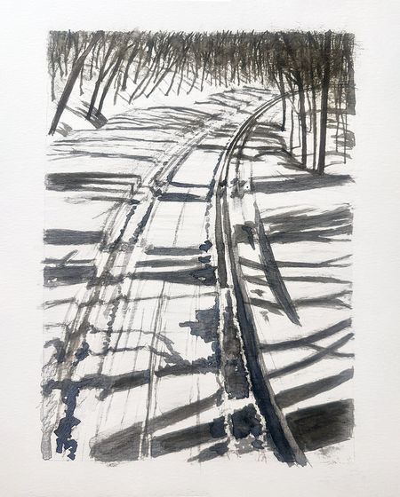 Skiing Logging Road