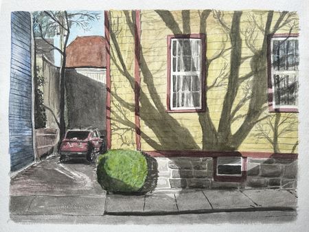 Tree Shadow On Yellow House