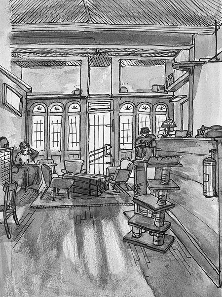 Montreal Cat Cafe Floor Reflection