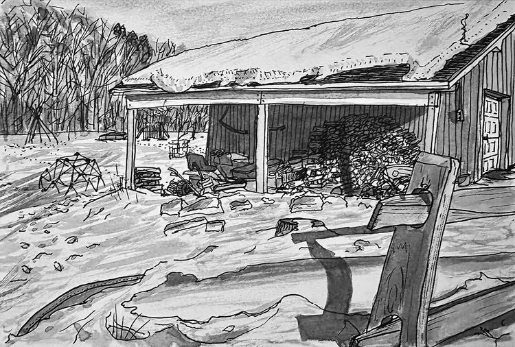 yard overhang woodpile in winter