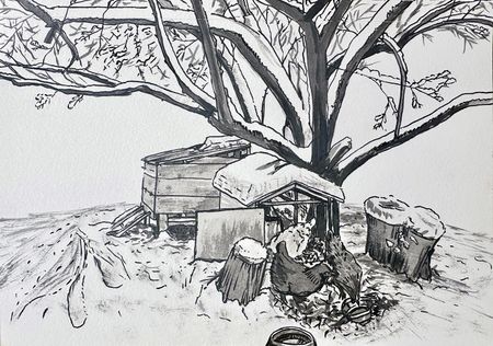 Winter Chickens Under Octopus Tree