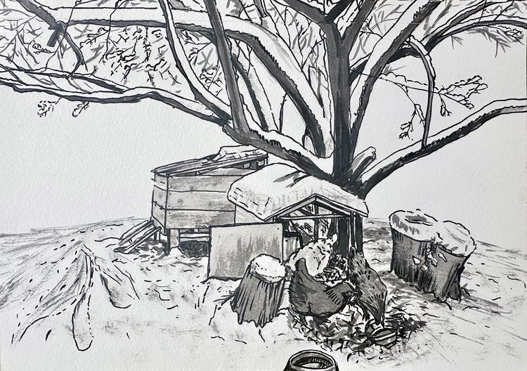 winter chickens under octopus tree