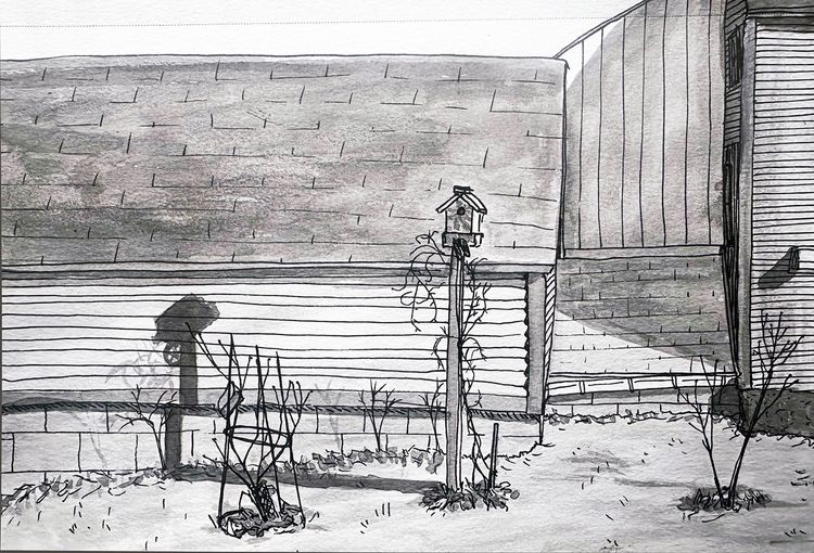 side yard shadows