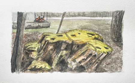 Spring Stump