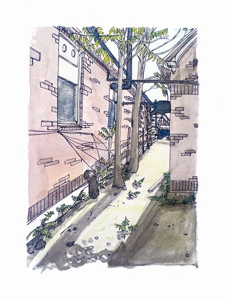 Boston Overgrown Alley