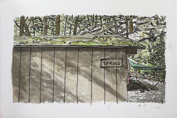 leanto at  branfort state park