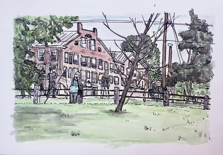 Plein Air Middlebury No Kings Protest Dead Tree