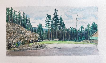 Rural Driveway