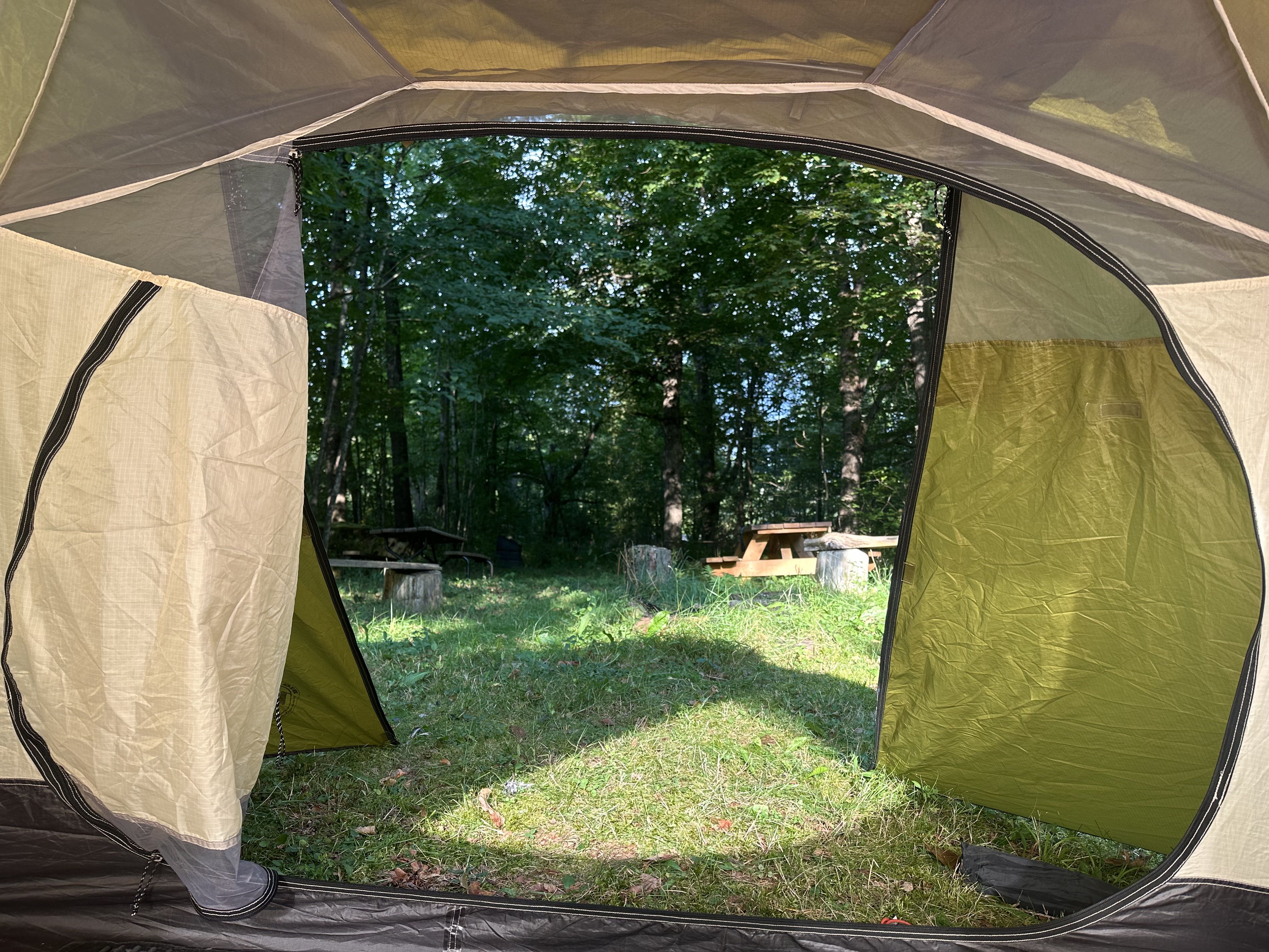 Photo of a lush green yard with a picnic table from inside a tent.
