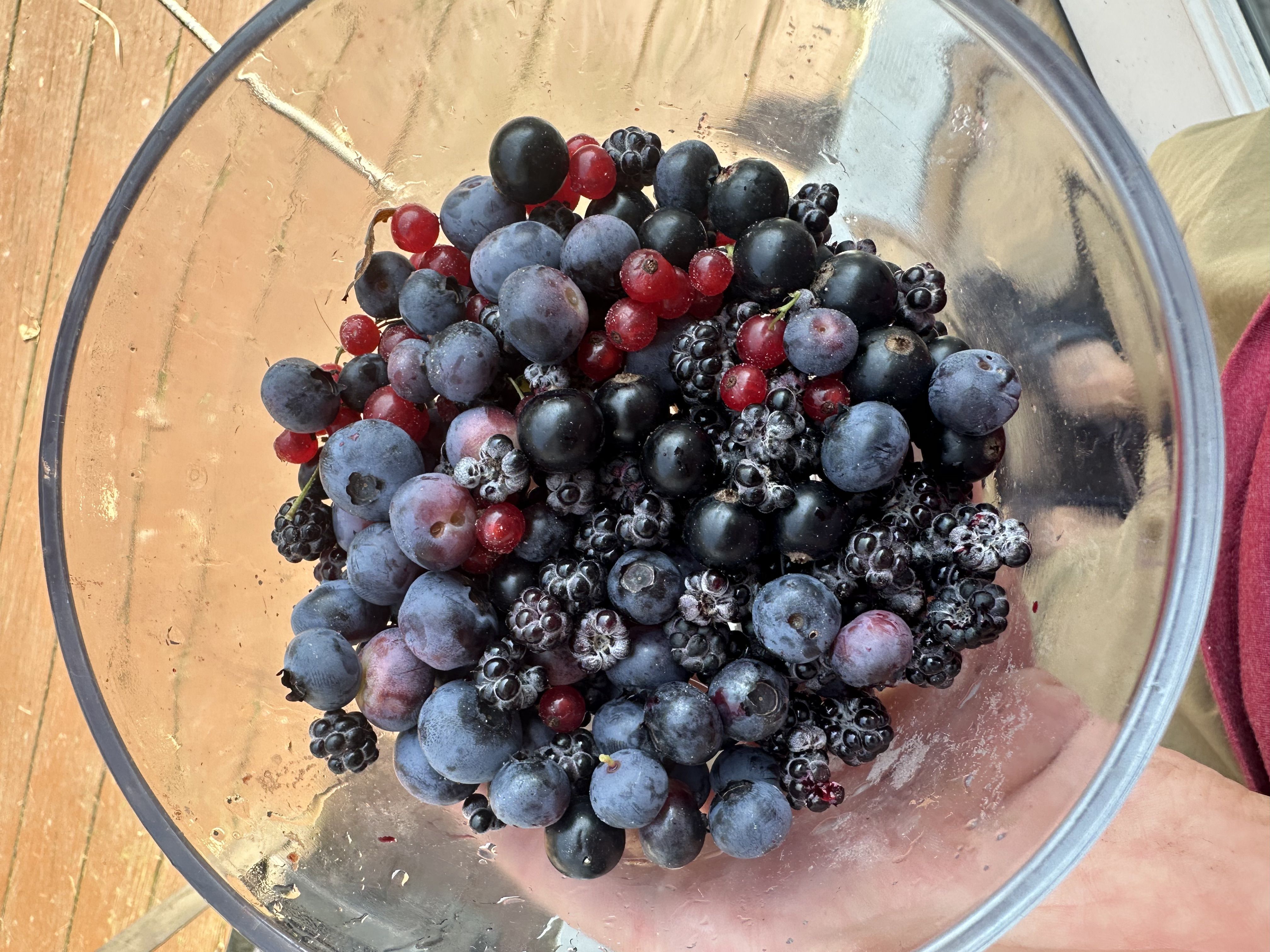 Zoomed in photo of many types of berries in a plastic container