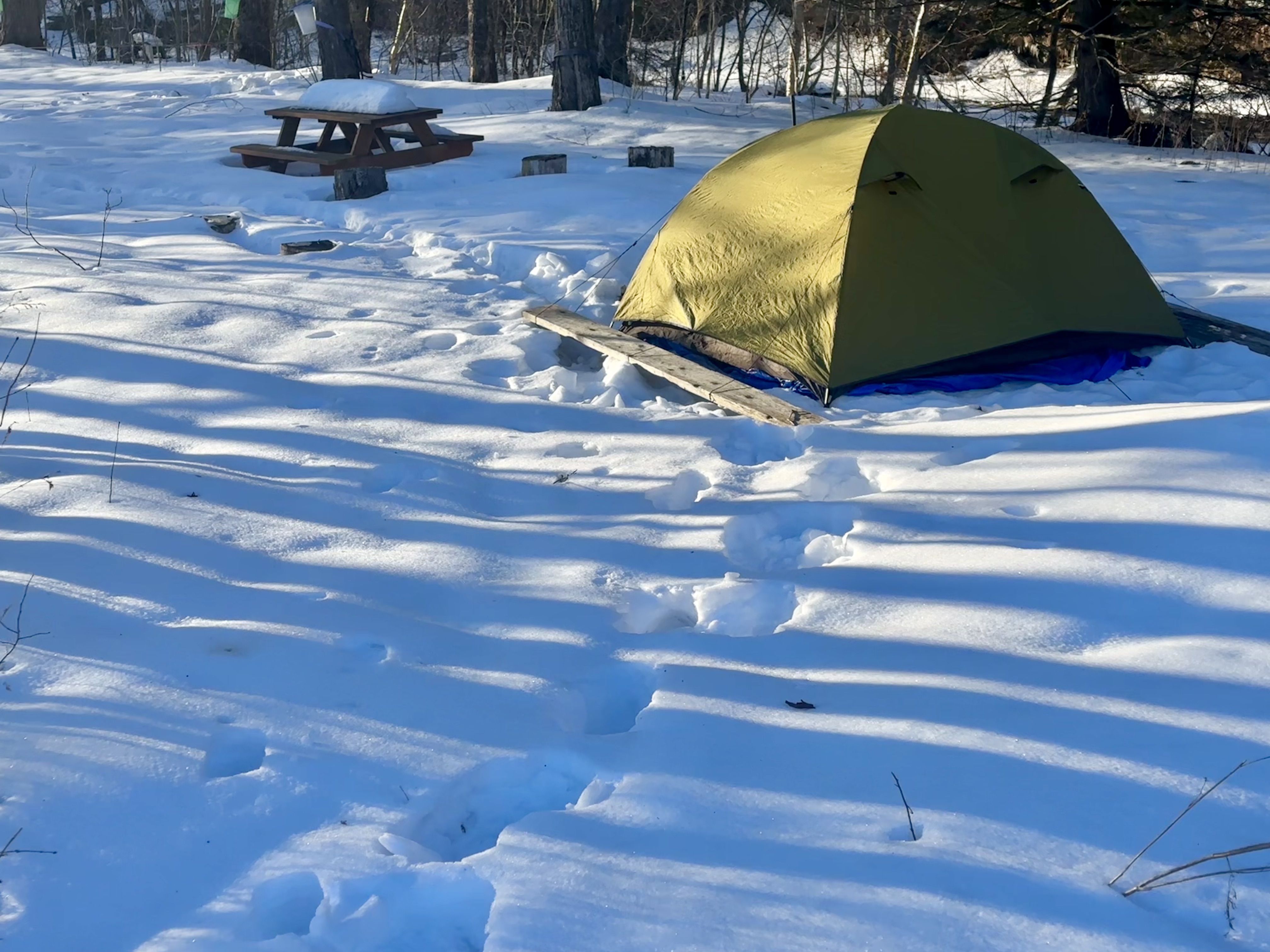 Photo of a small tent in a yard of snow, with long shadows indicating sunset coming near