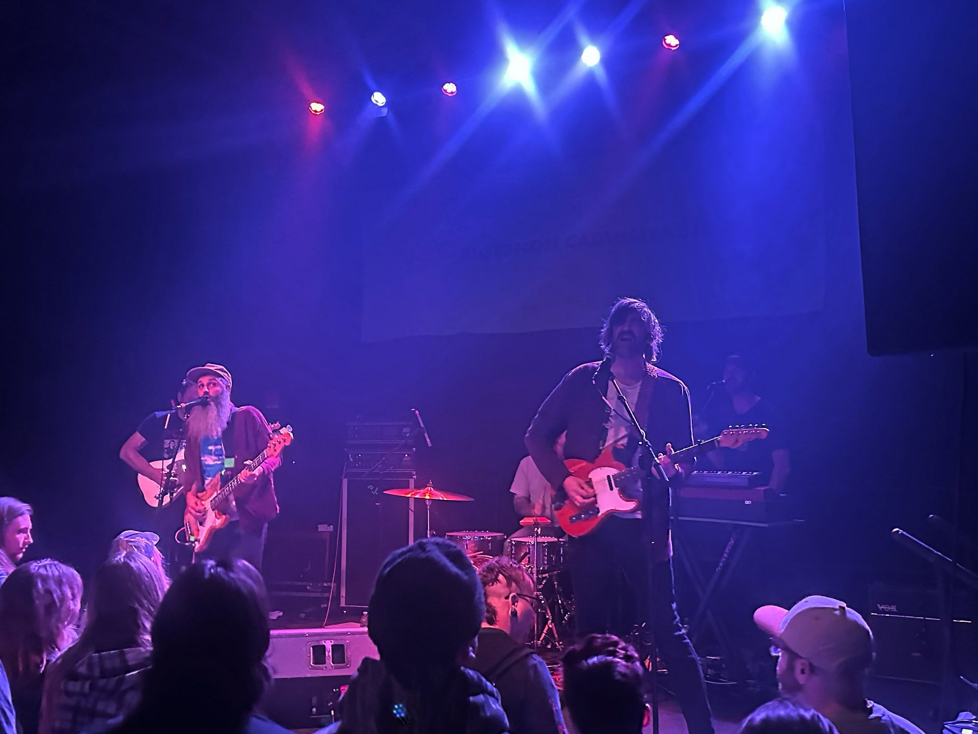 Algernon Cadwallader