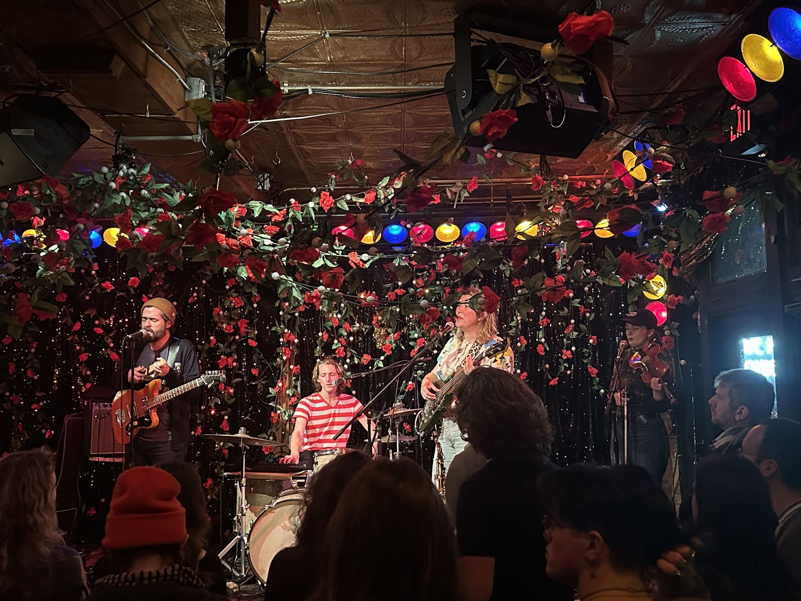 Jeffrey Lewis and his band performing on the small stage at Radio Bean, Burlington, fake roses covering the ceiling