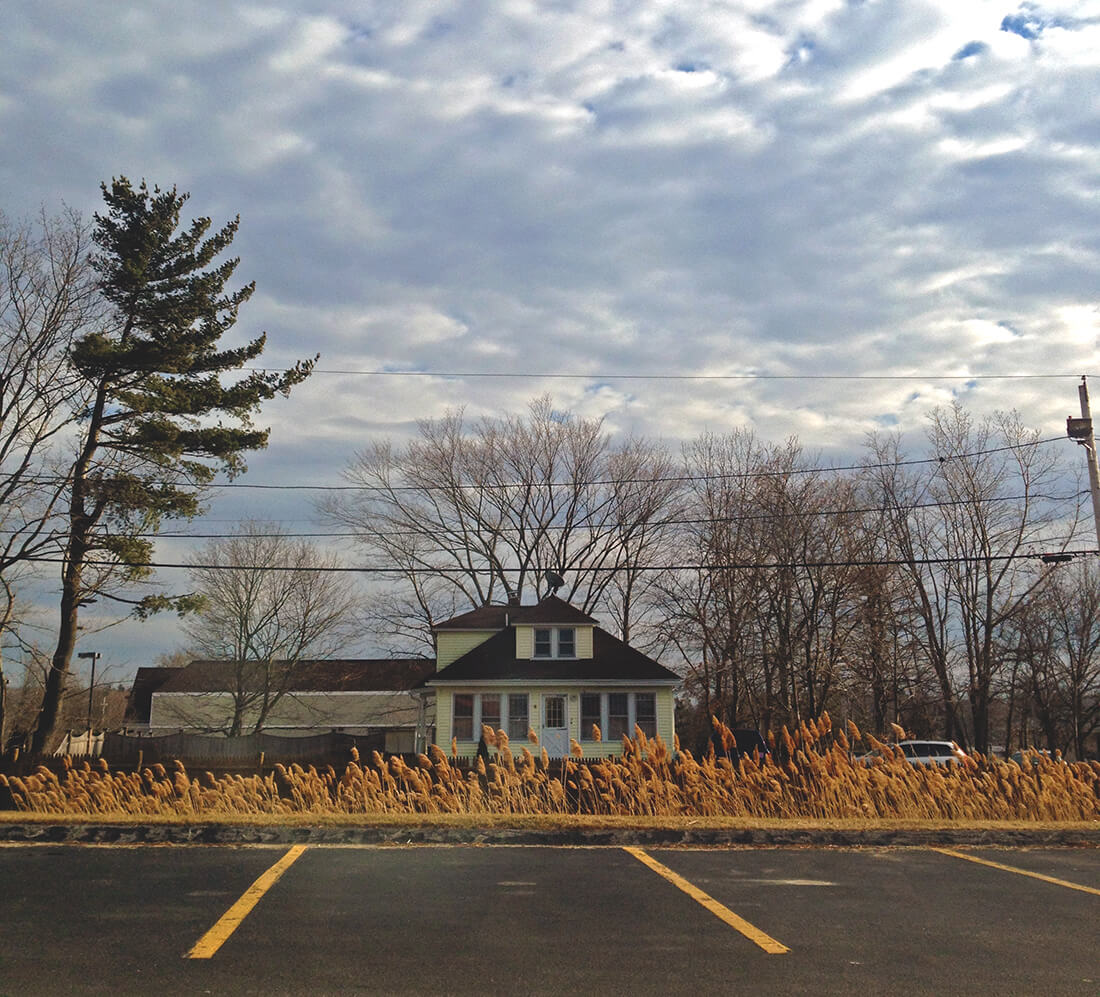 From foreground to background, parking lot lines, a row of yellow grasses, telephone lines, then a house