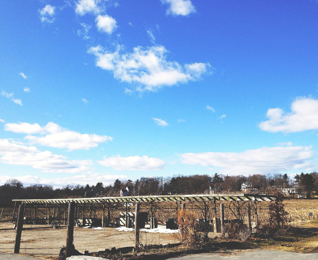  mostly blue sky, with a vast empty wooden pergola in the lower part of the photo