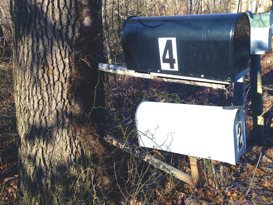 Two mailboxes one over the other, mounted to a large tree