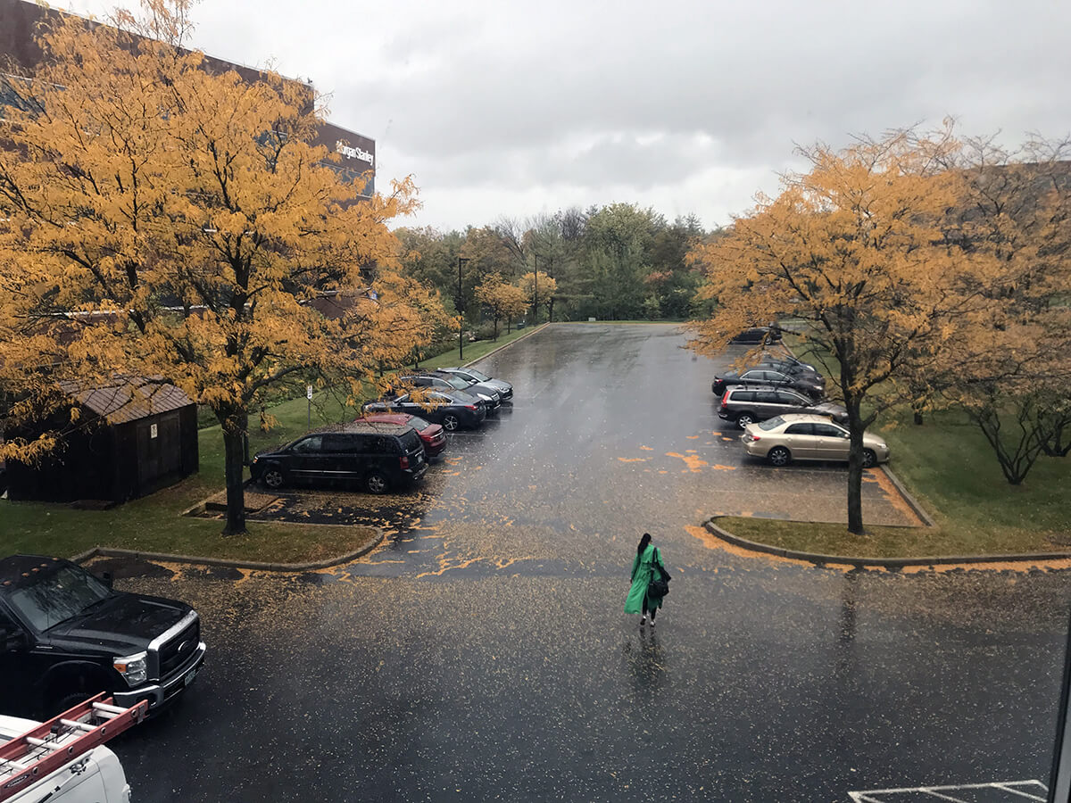  Photo from a three-story building down to a parking lot of yellow leaves, pooling in the rain