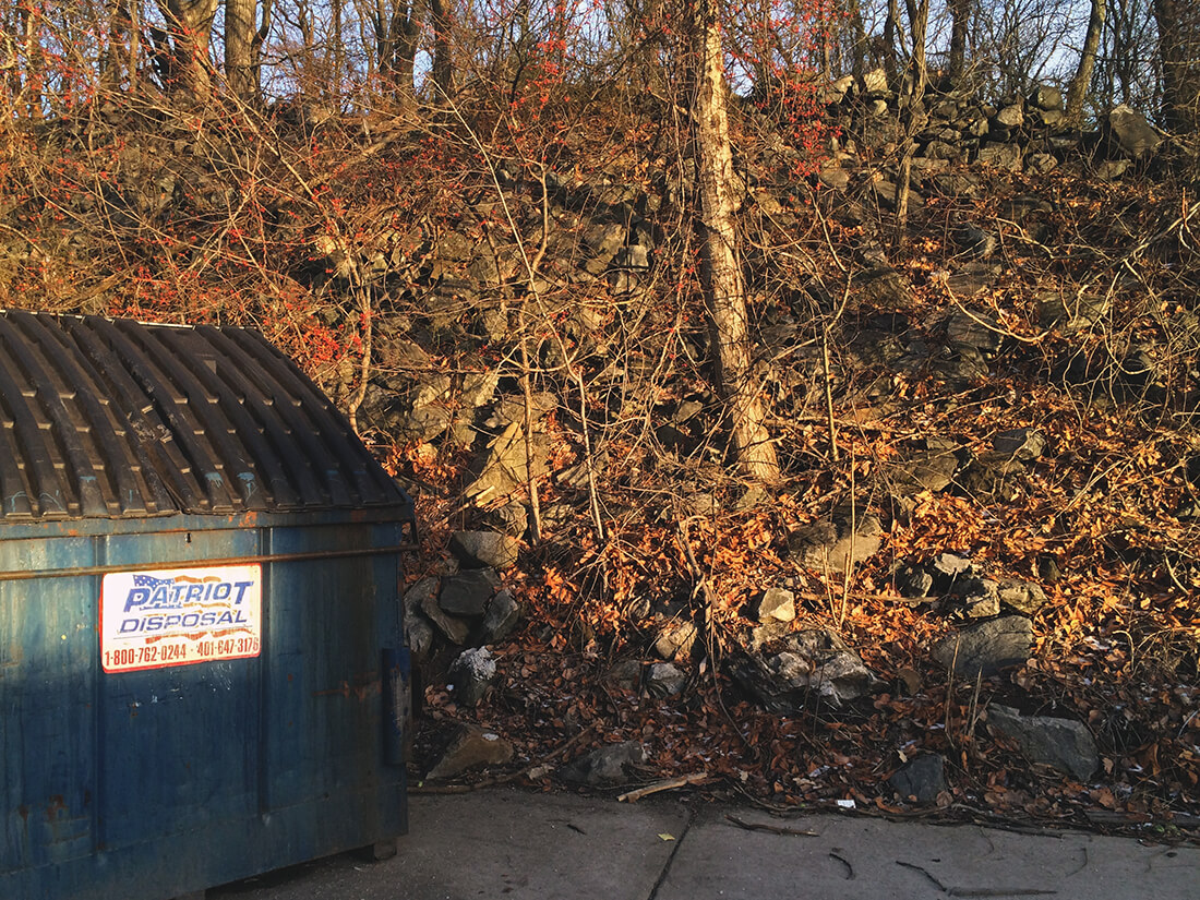 A rocky, viney, hill behind a parking lot with a blue commercial trash bin