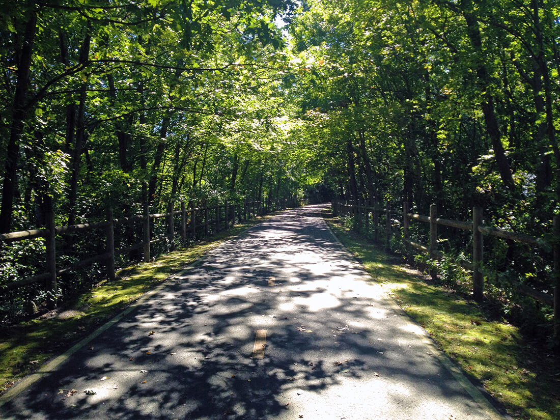 A bright and green paved trail surrounded by trees