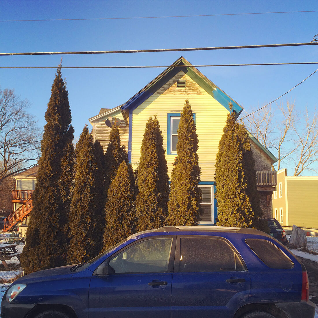 arborvitae trees in front of a small family SUV with golden hour light