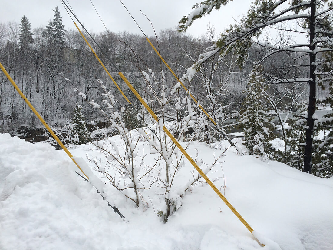  yellow yellow, telephone pole support wires against the black-and-white winter backdrop