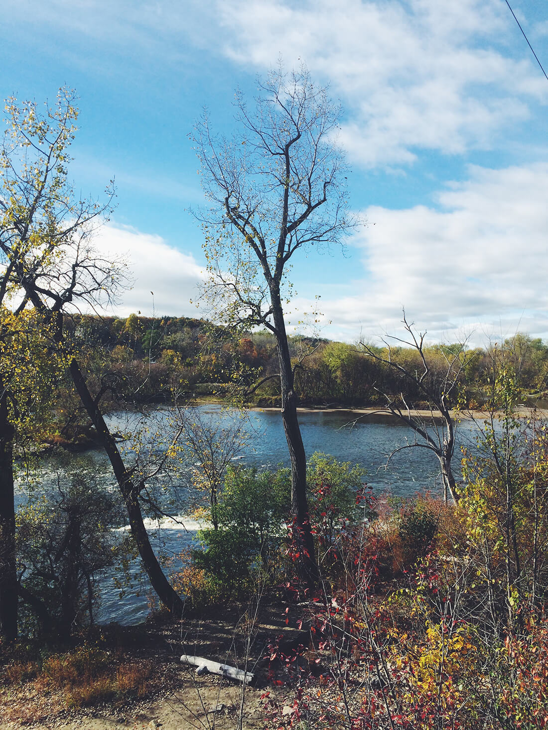  winooski River with trees in the foreground, just starting to grow leaves in spring