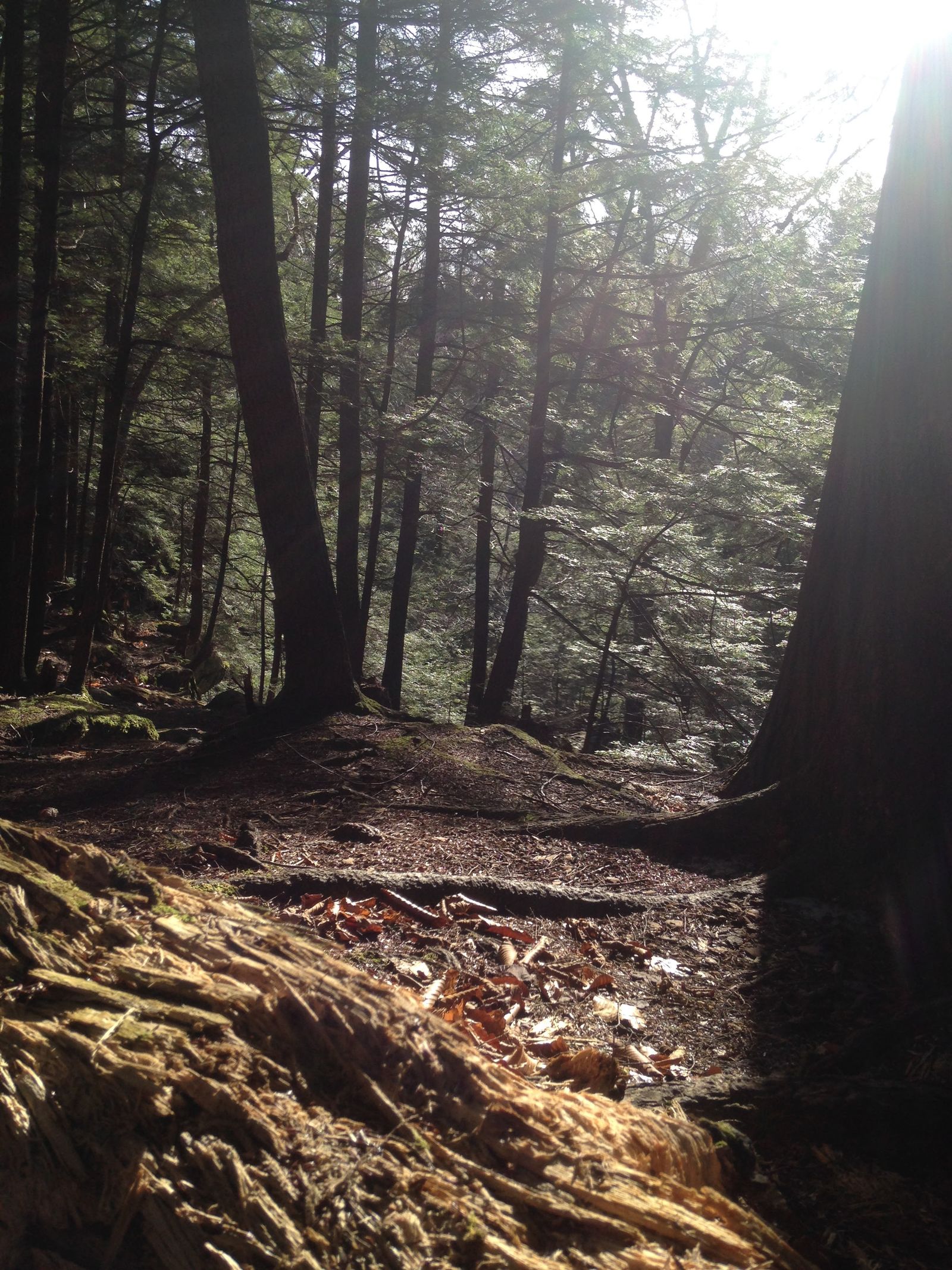 Bingham Falls hiking photo