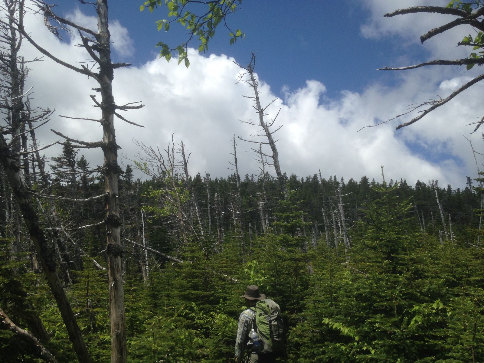 Hiking photo from 2015-06-13