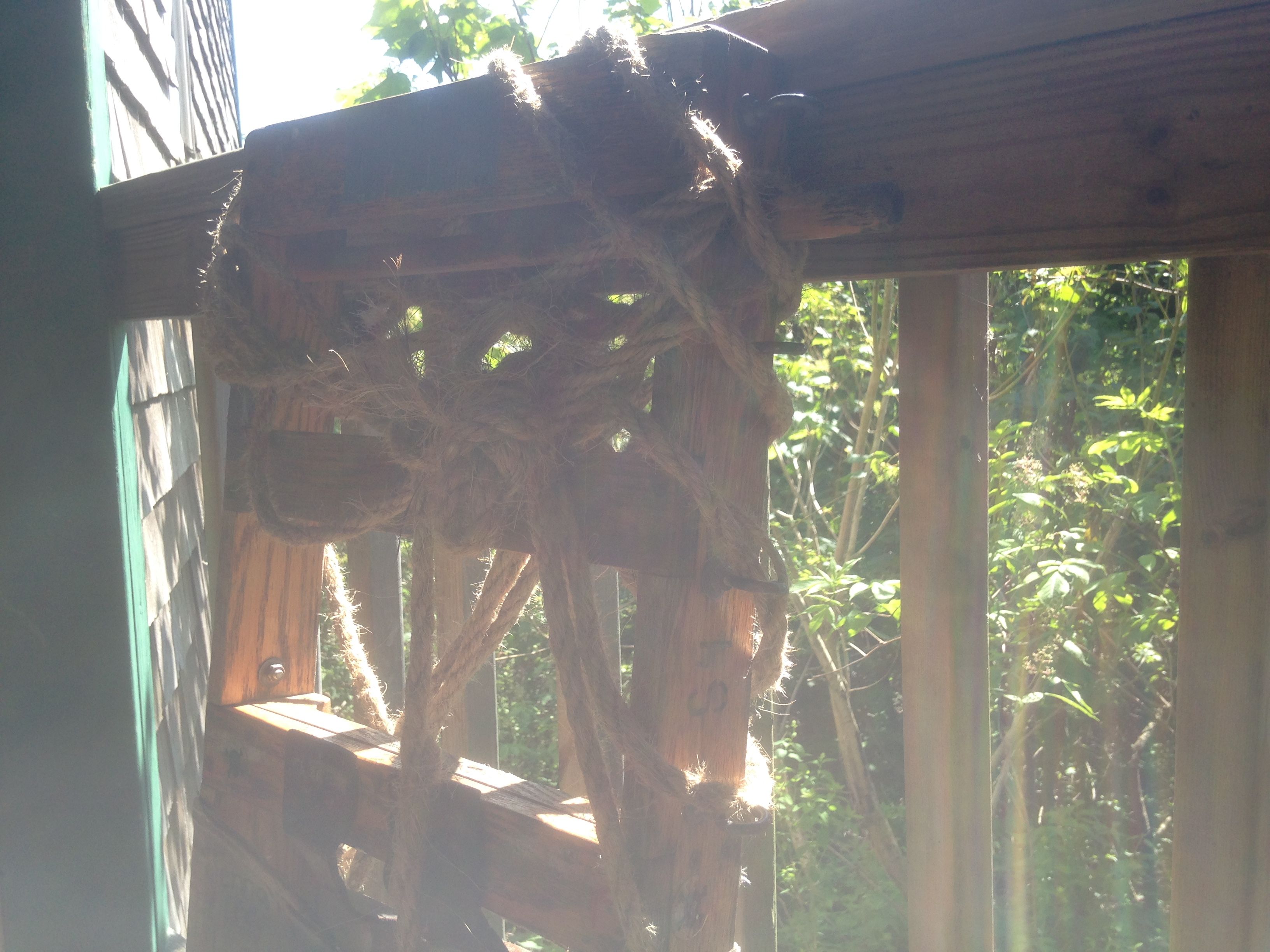 Hiking photo from 2015-06-13