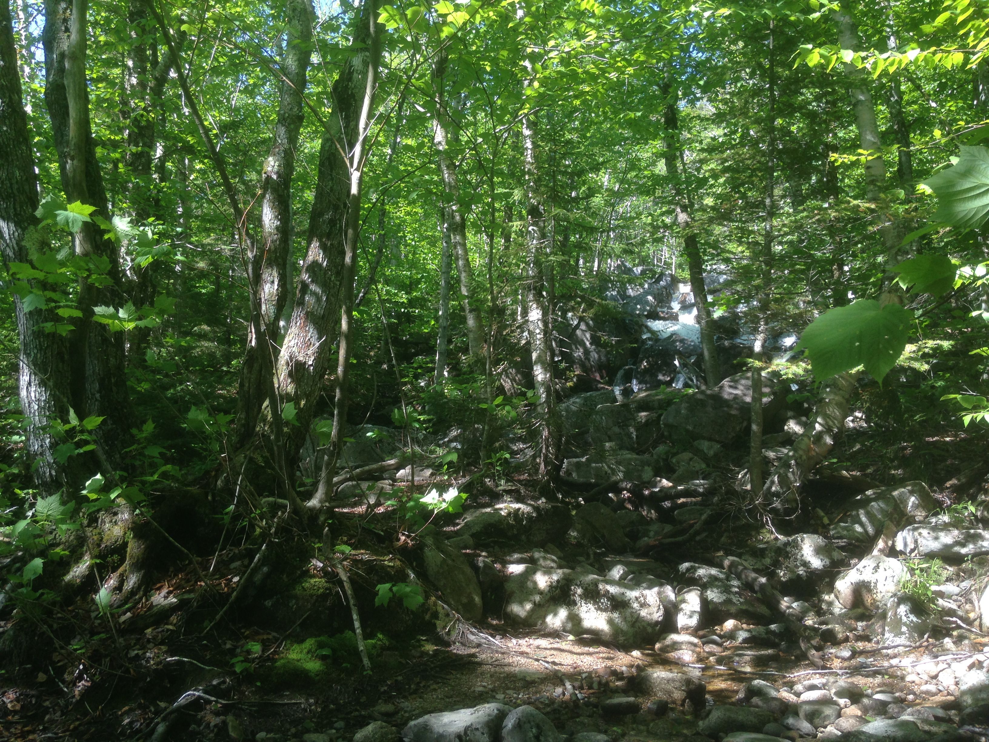 Hiking photo from 2015-06-13