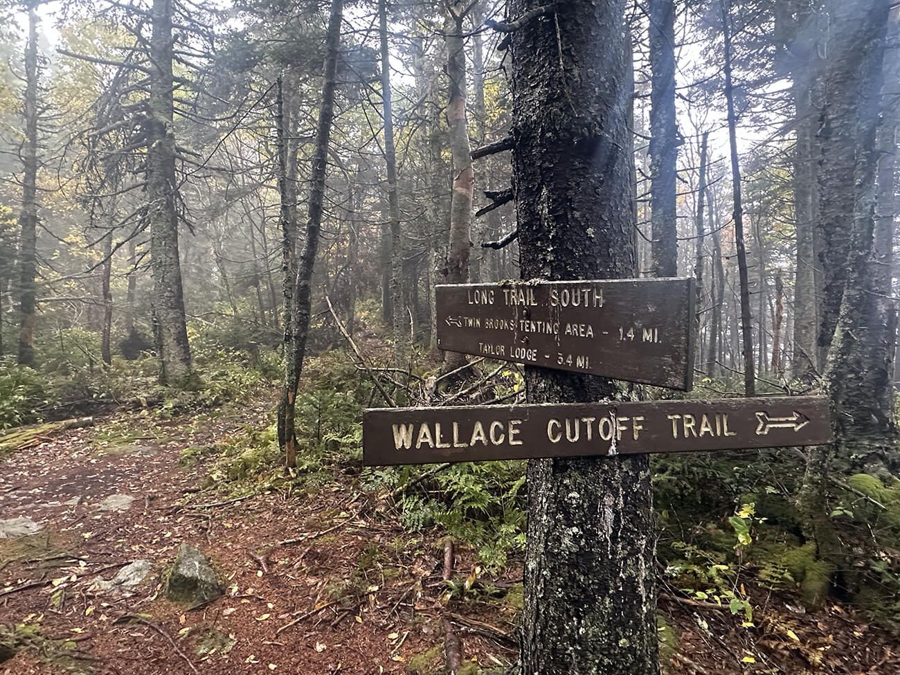 Sign in wet woods reading'LONG TRAIL SOUTH, TWIN BROOKS TENTING AREA - 1.4 MI.'