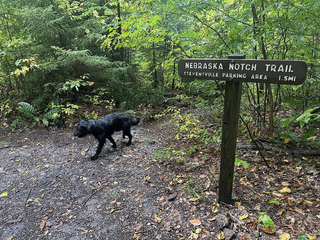 Sign in woods reading: 'NEBRASKA NOTCH TRAIL, STEVENSVILLE PARKING AREA, 1.5 MI'