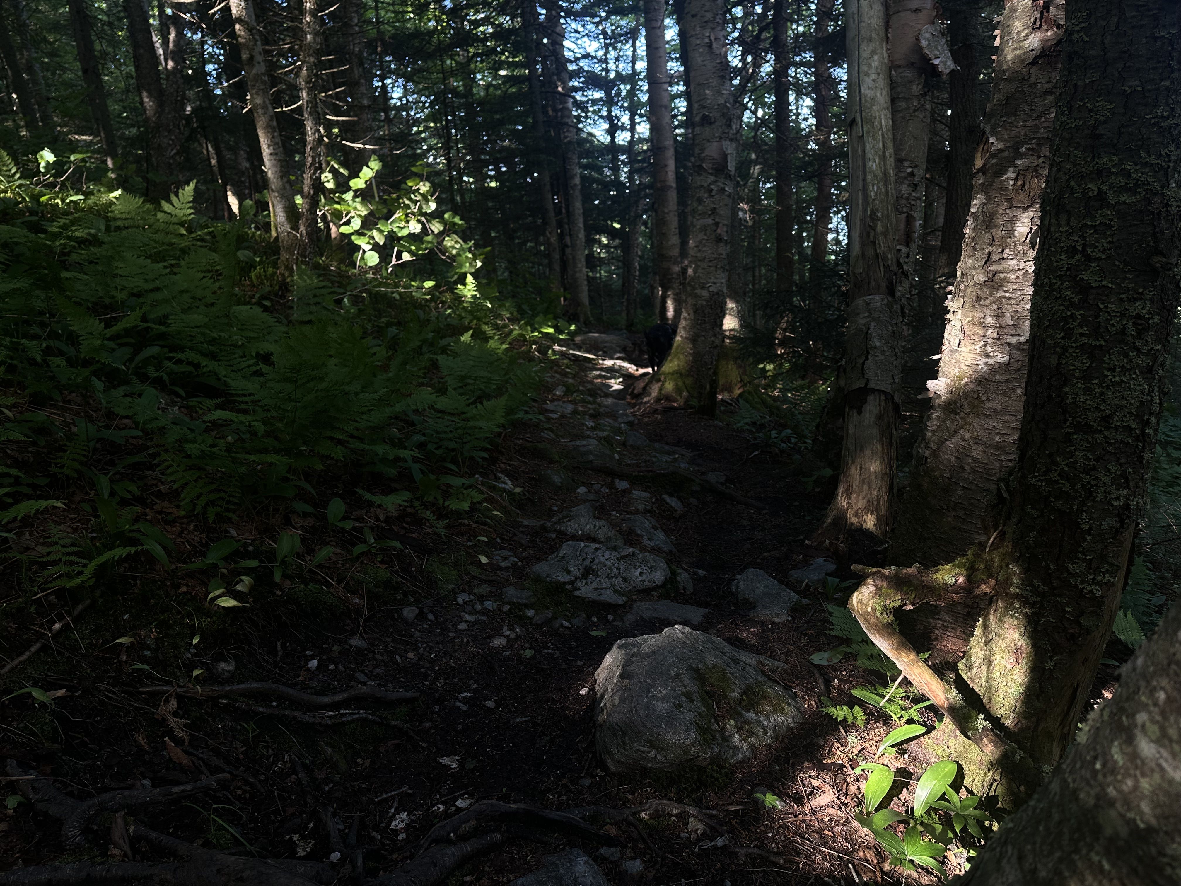Hiking photo from 2026-06-13