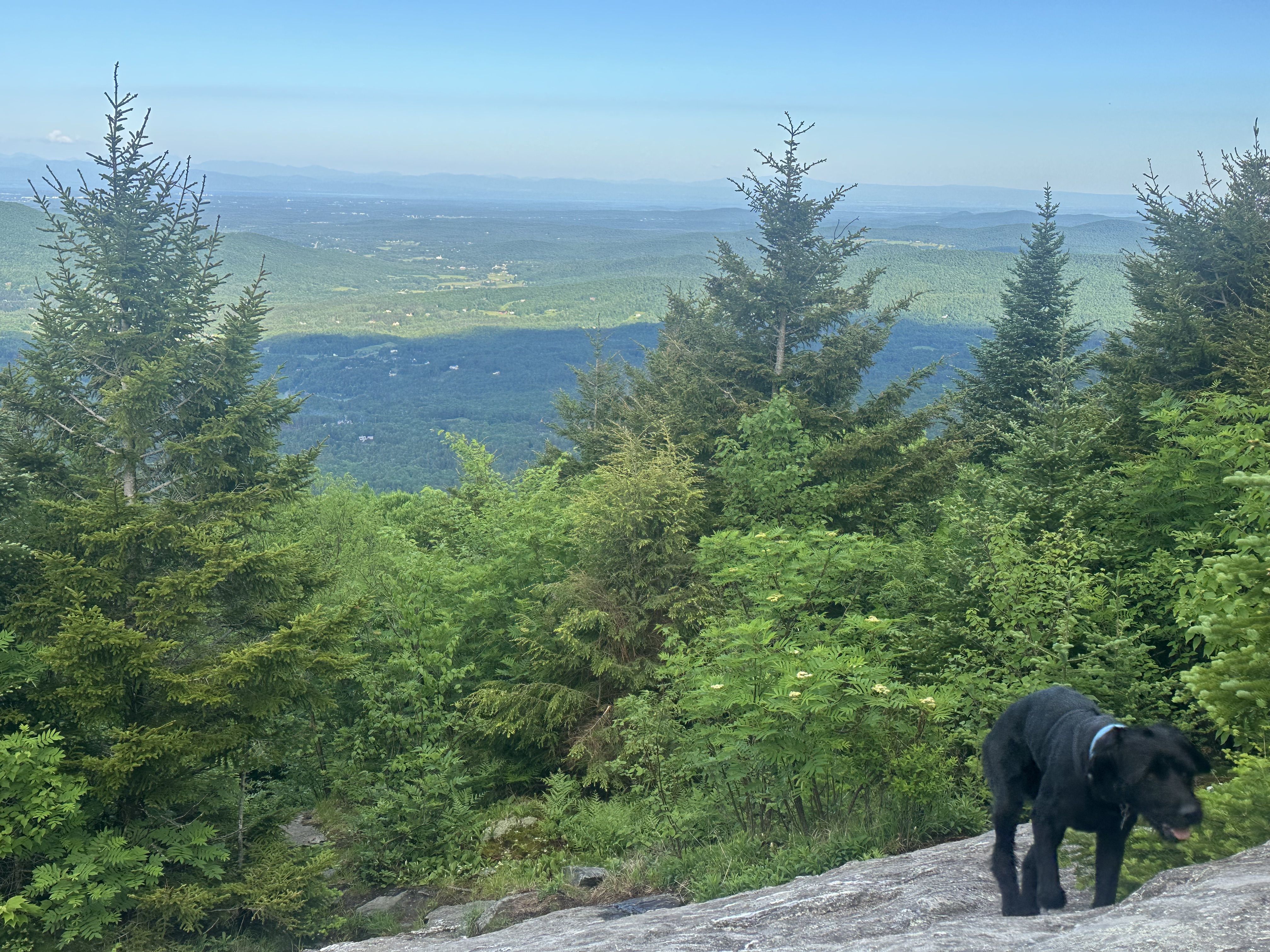 Hiking photo from 2026-06-13