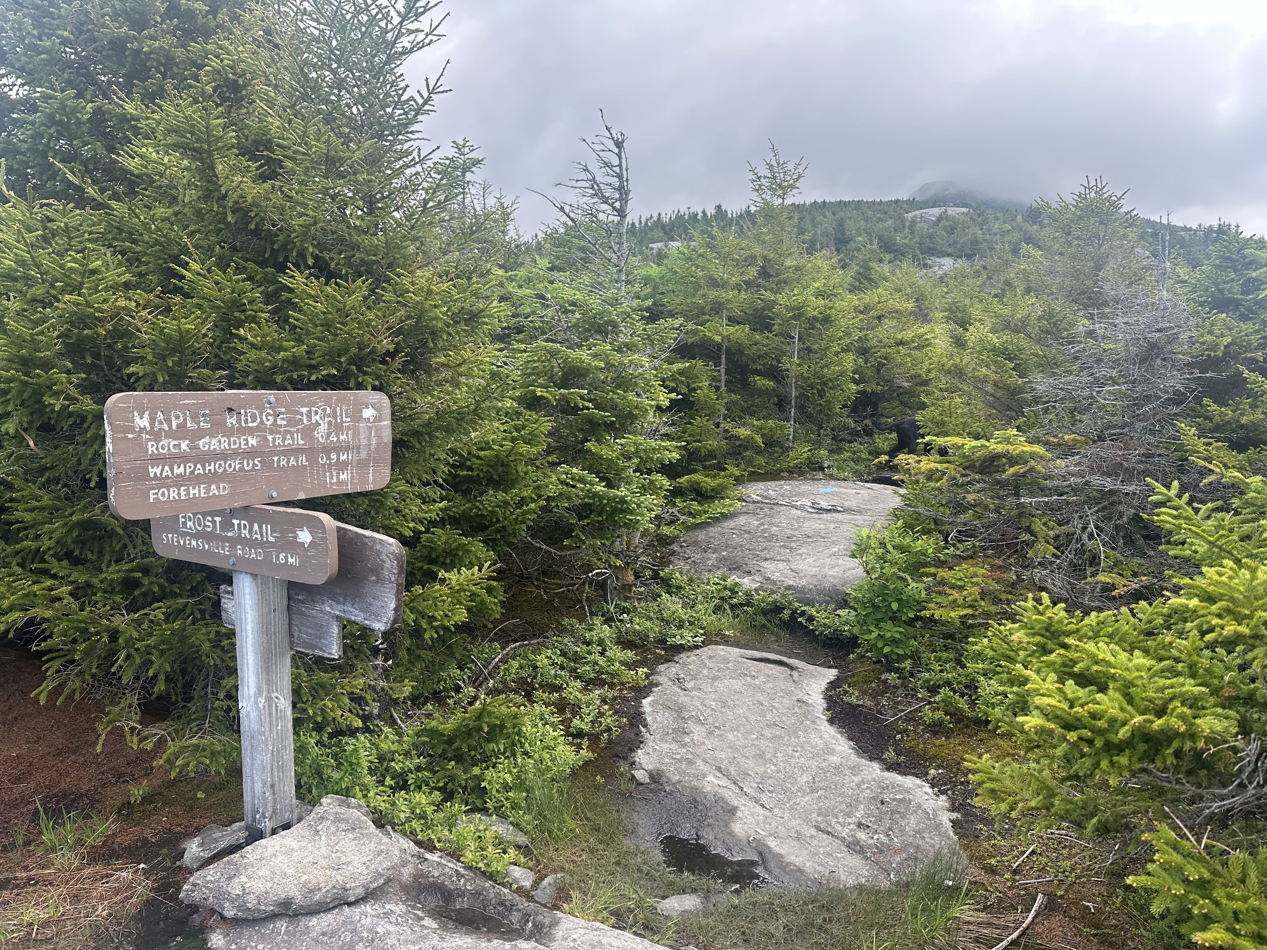 Hiking photo from 2026-06-13