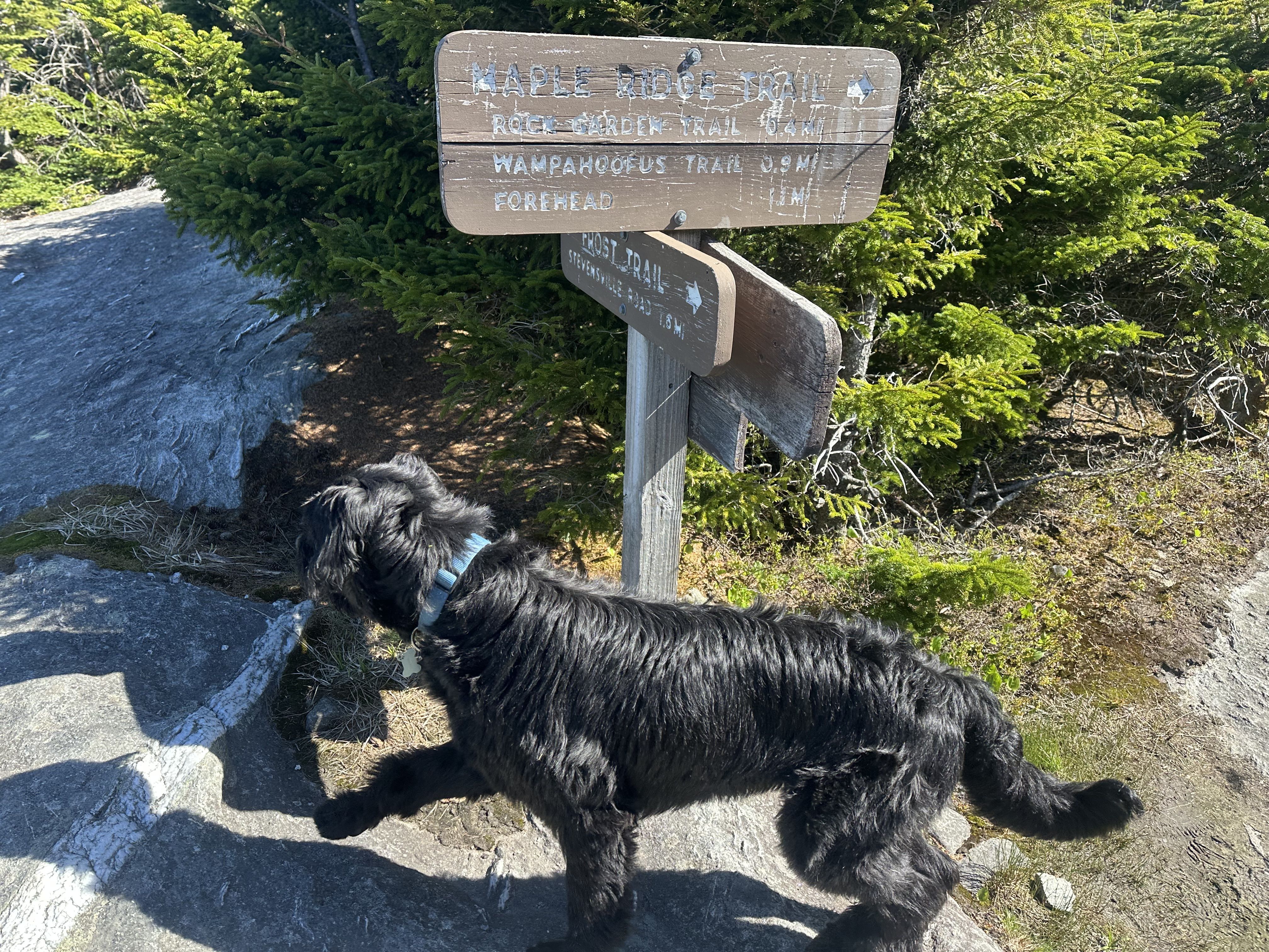Hiking photo from 2026-05-22