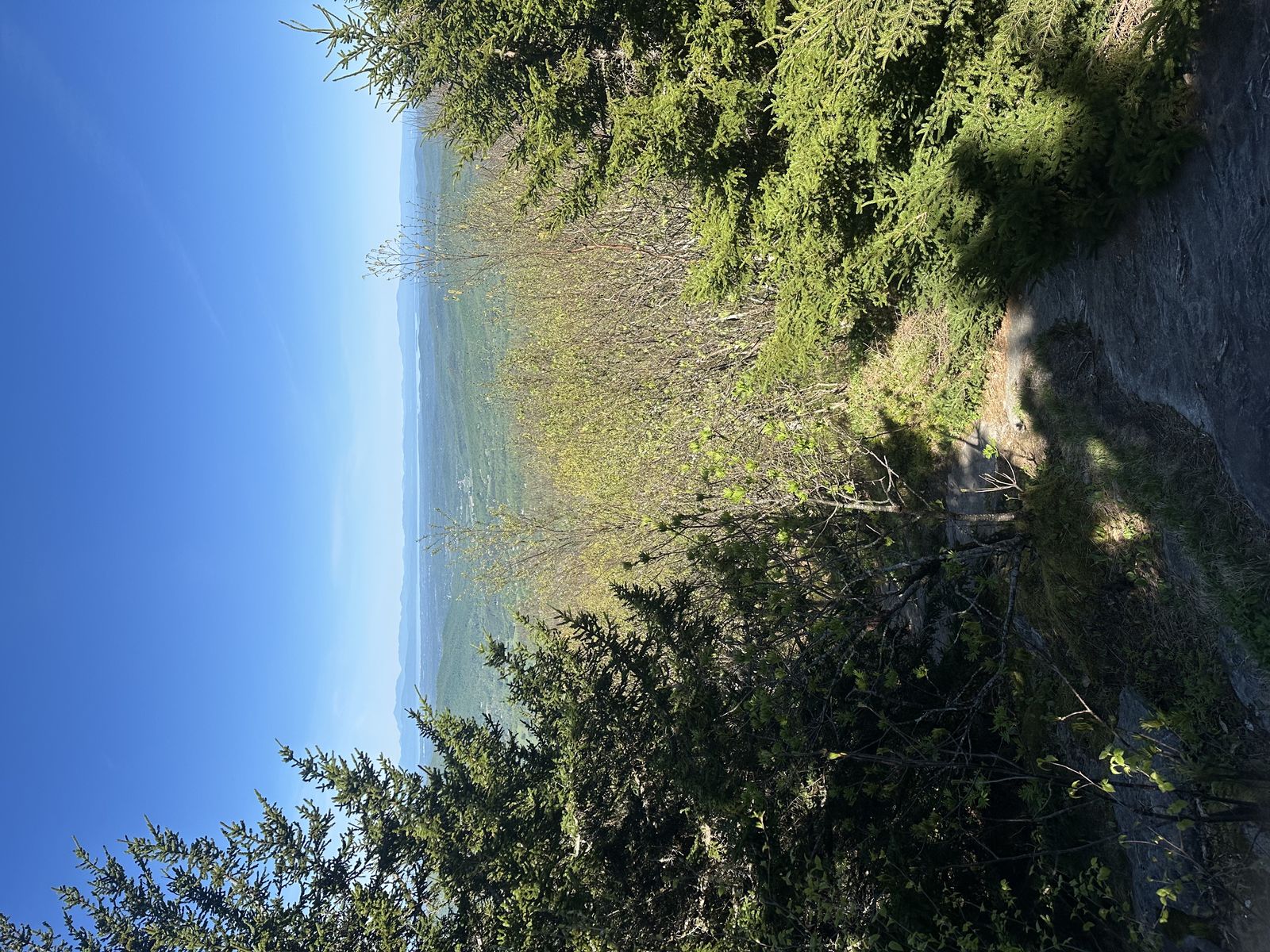Hiking photo from 2026-05-22