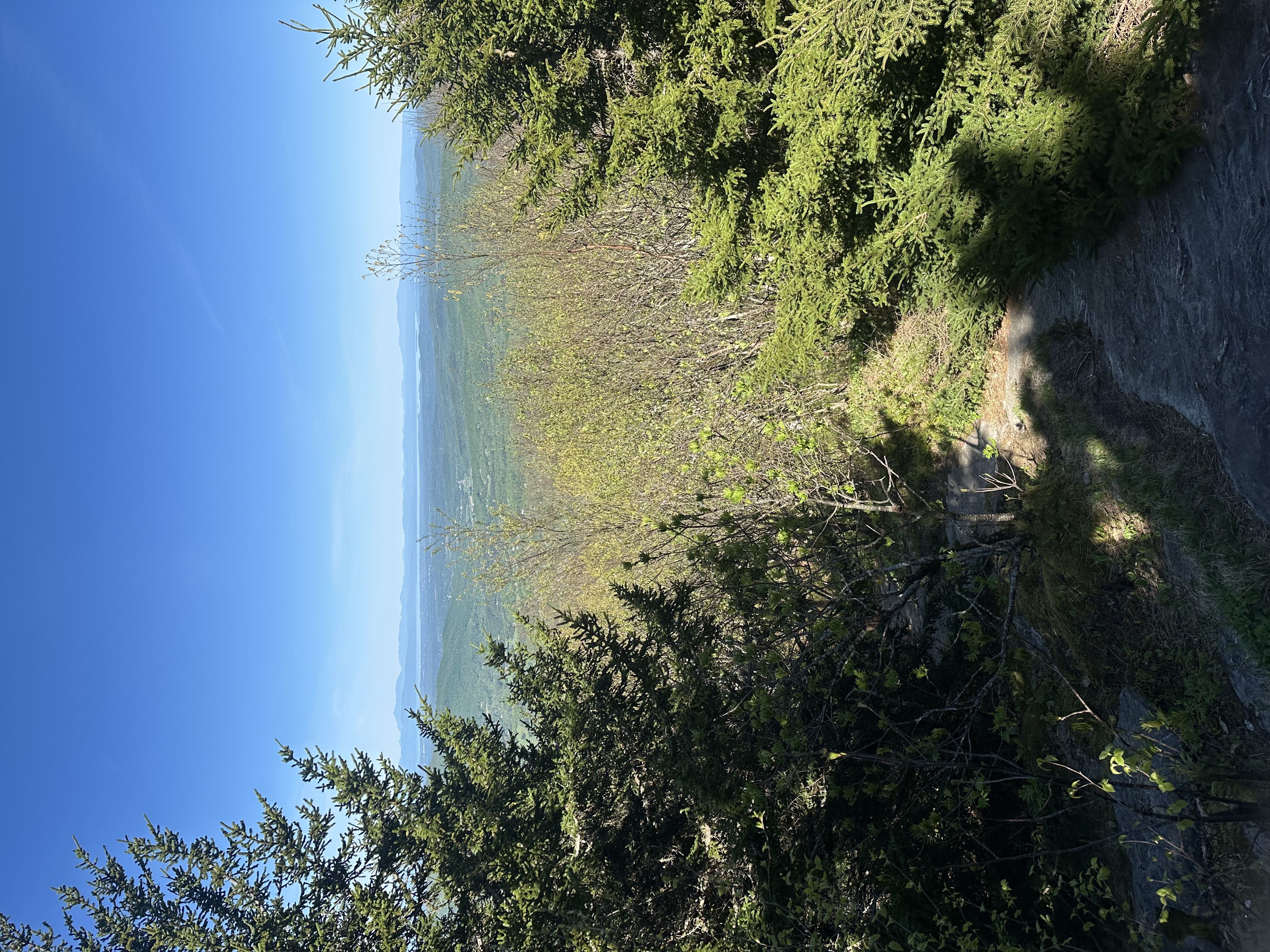 Hiking photo from 2026-05-22