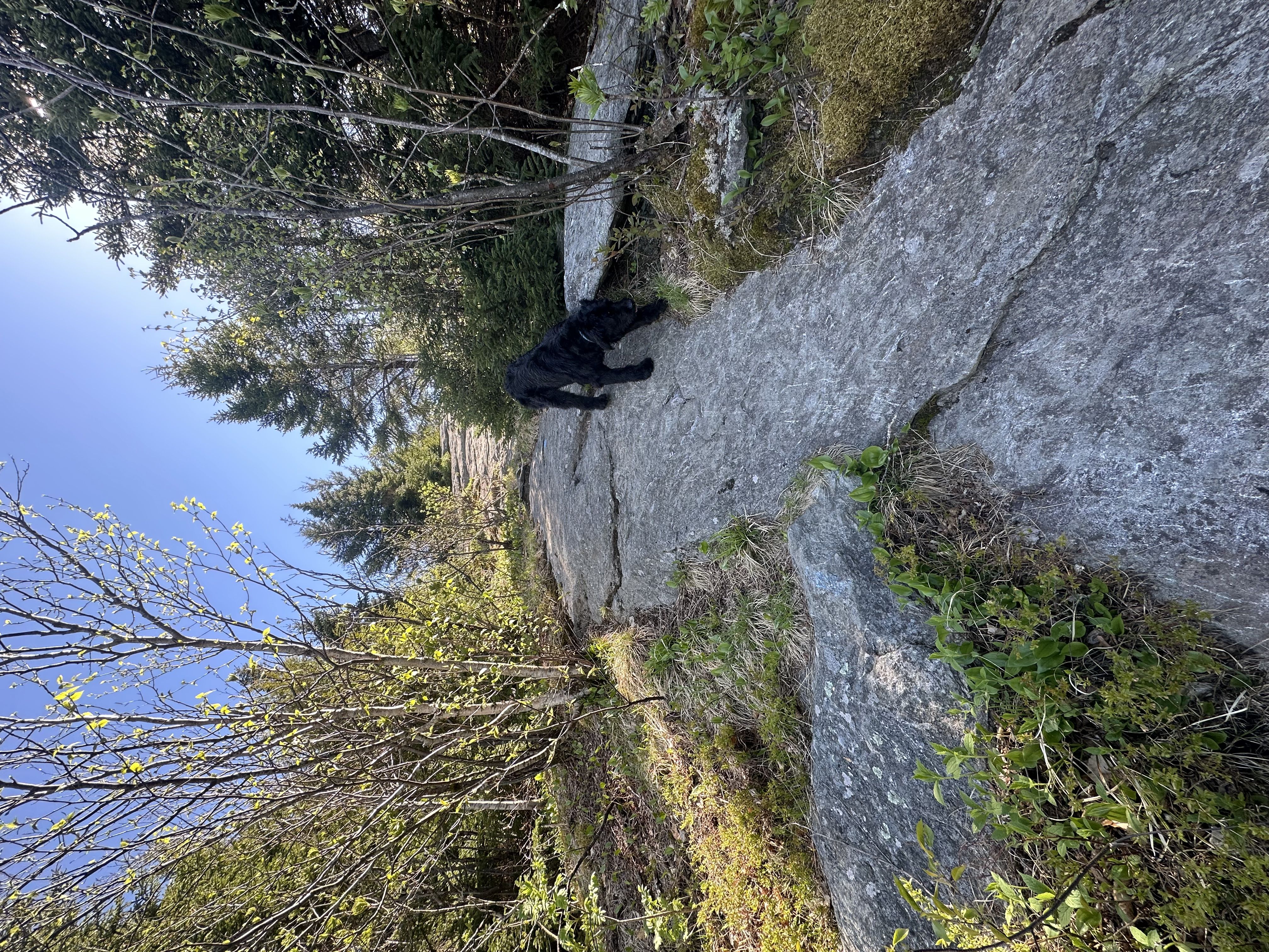 Hiking photo from 2026-05-22