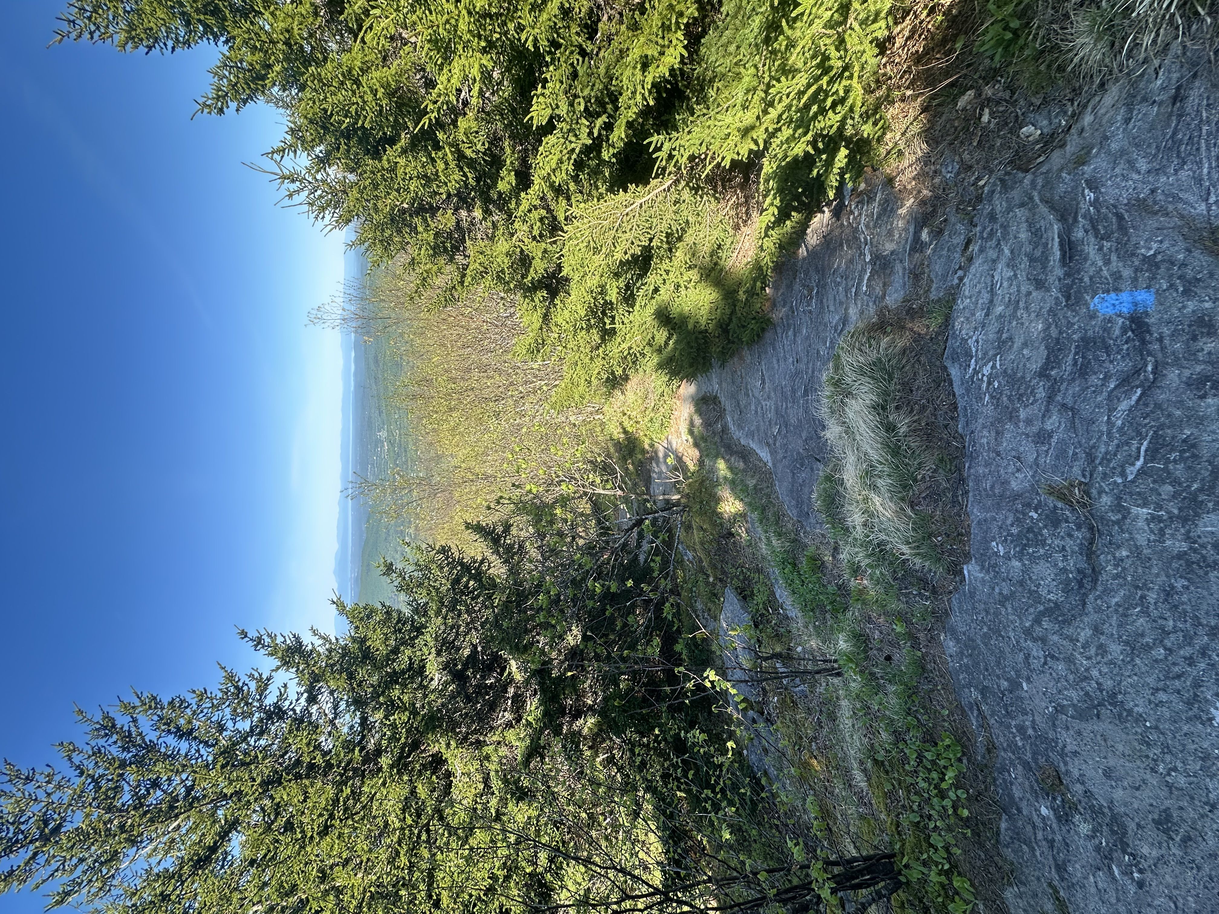 Hiking photo from 2026-05-22