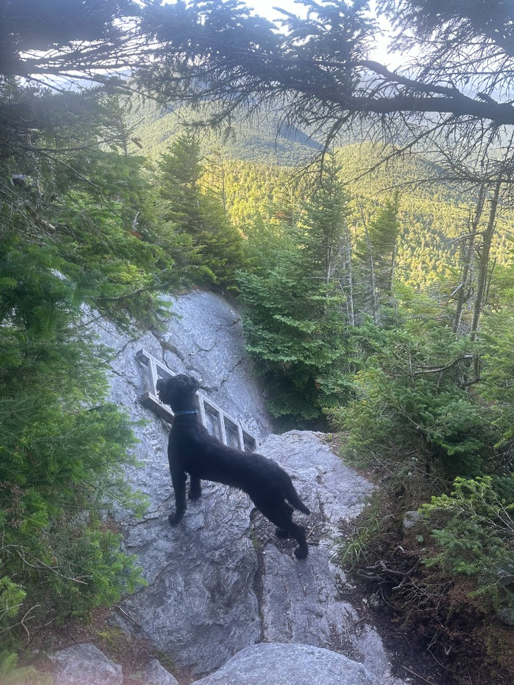 Brooklyn standing on steep slick rock at top of a ladder section, surveying the drop below