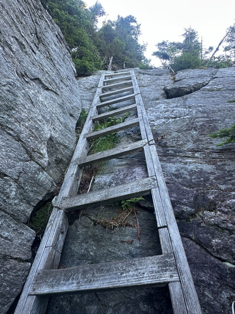 Looking up a single long wooden ladder bolted to a near-vertical granite face