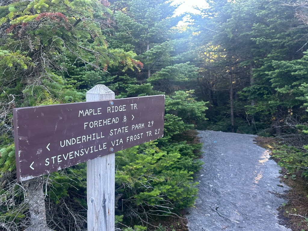 Maple Ridge Trail sign: Forehead .8, Underhill State Park 2.9, Stevensville via Frost Tr 2.1