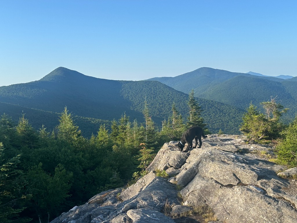 Black dog standing on exposed granite summit rocks, Green Mountains spreading out behind her