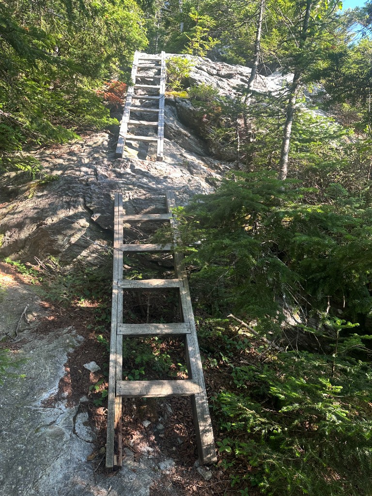 Two wooden ladders ascending steep granite slabs in series