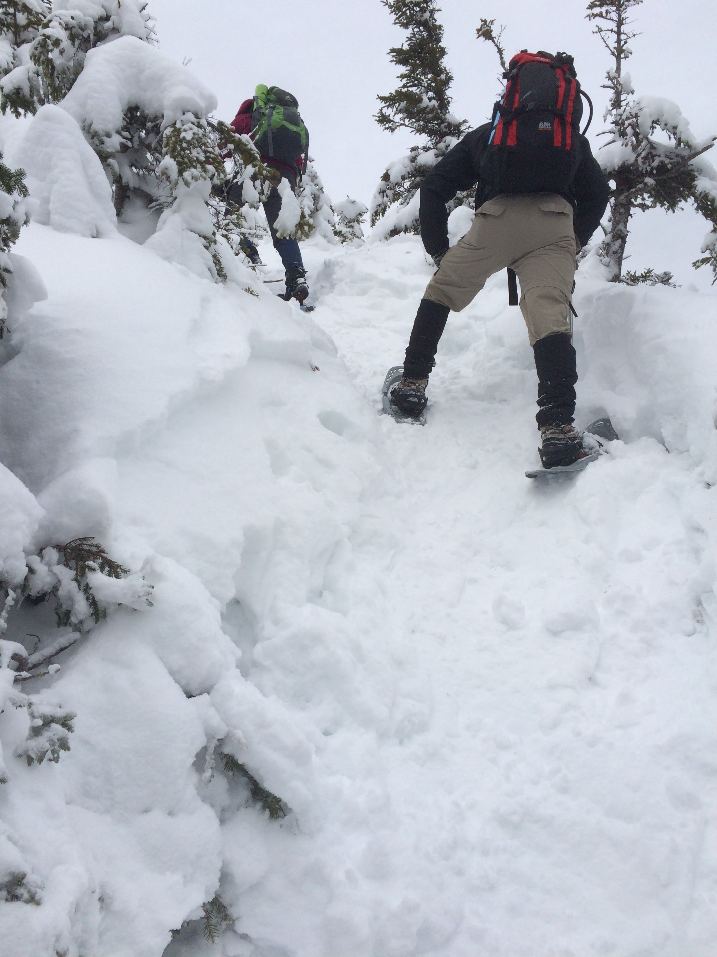Hiking photo from 2015-01-24