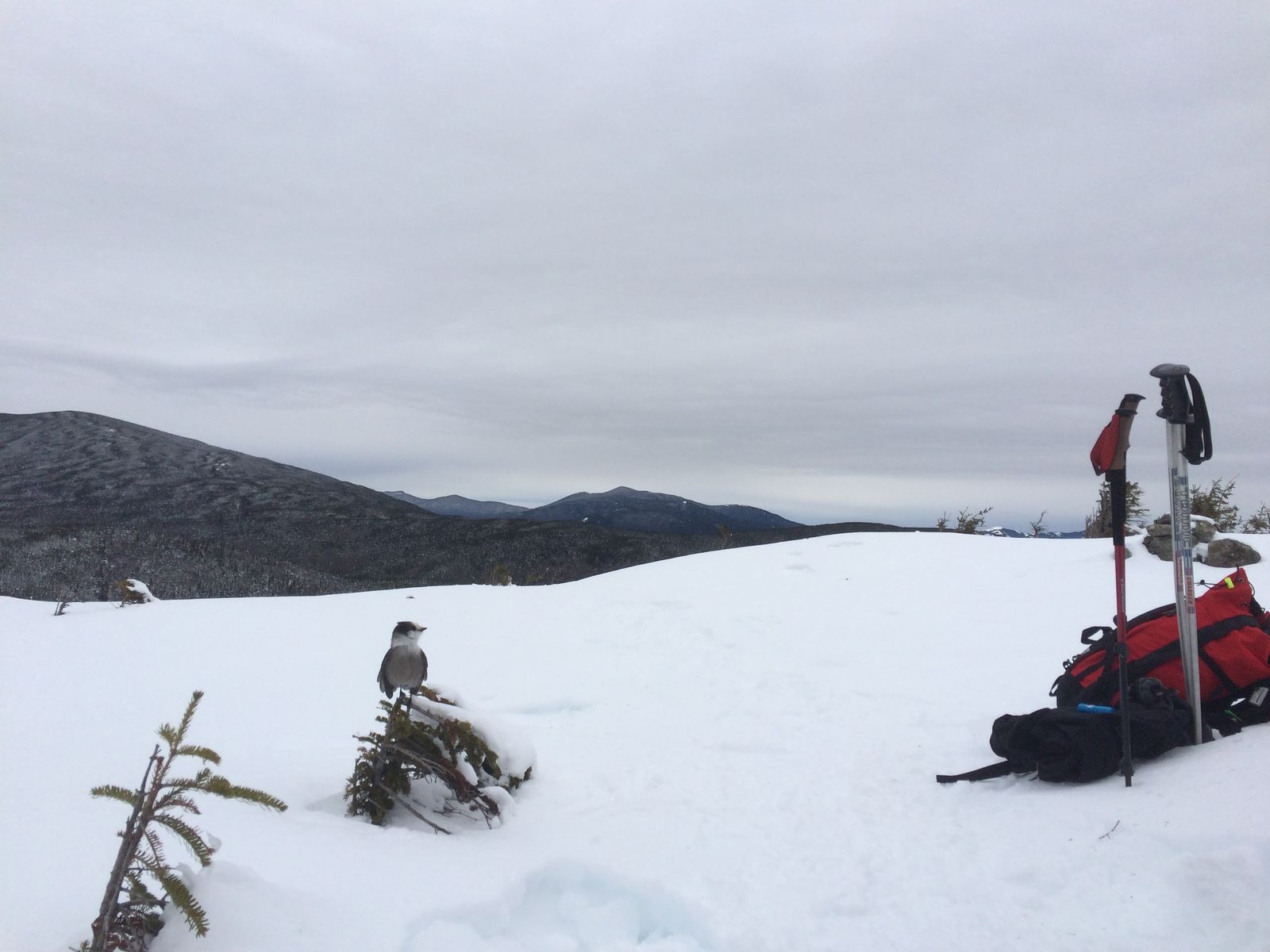 Hiking photo from 2015-01-24