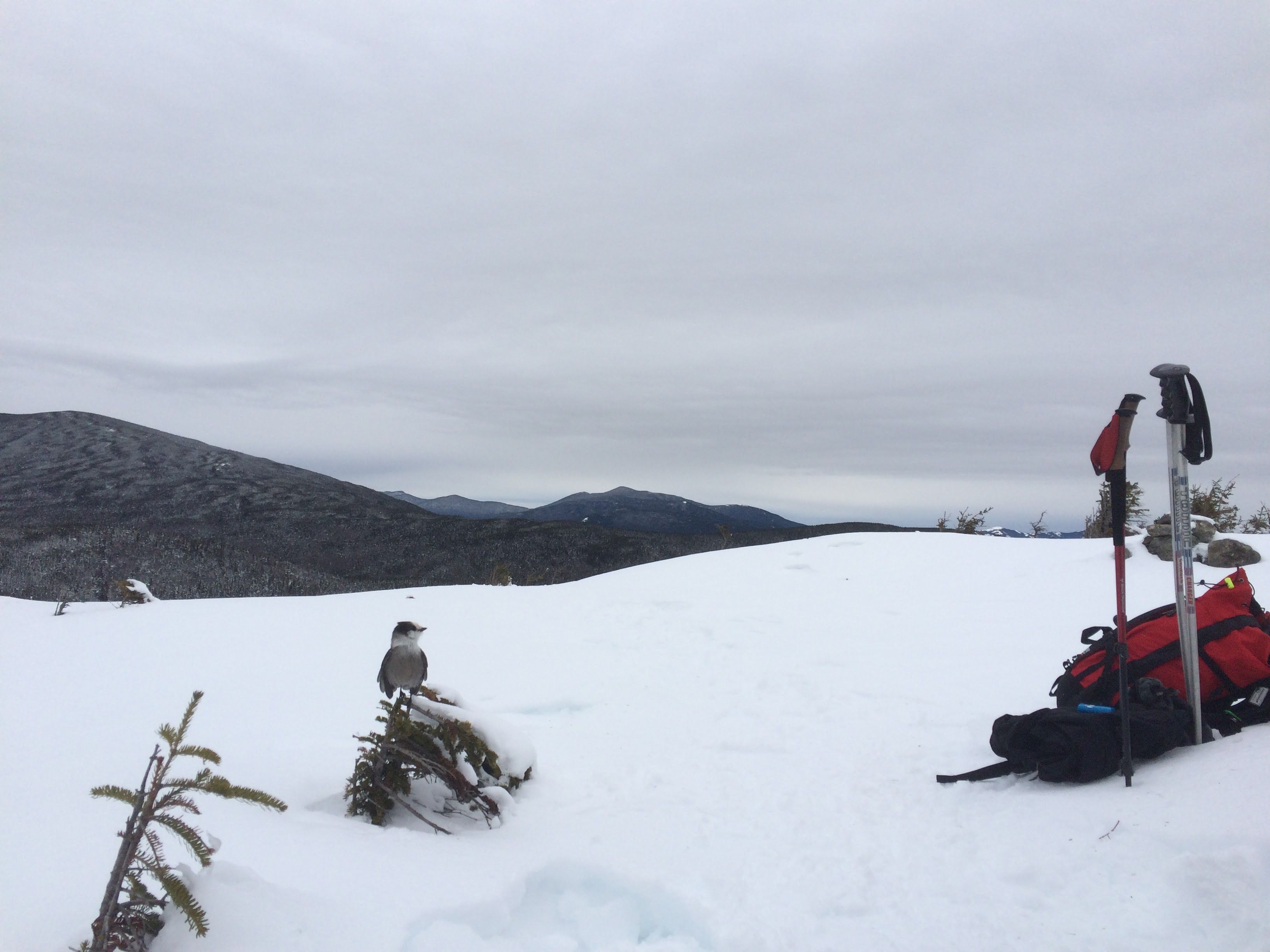 Hiking photo from 2015-01-24
