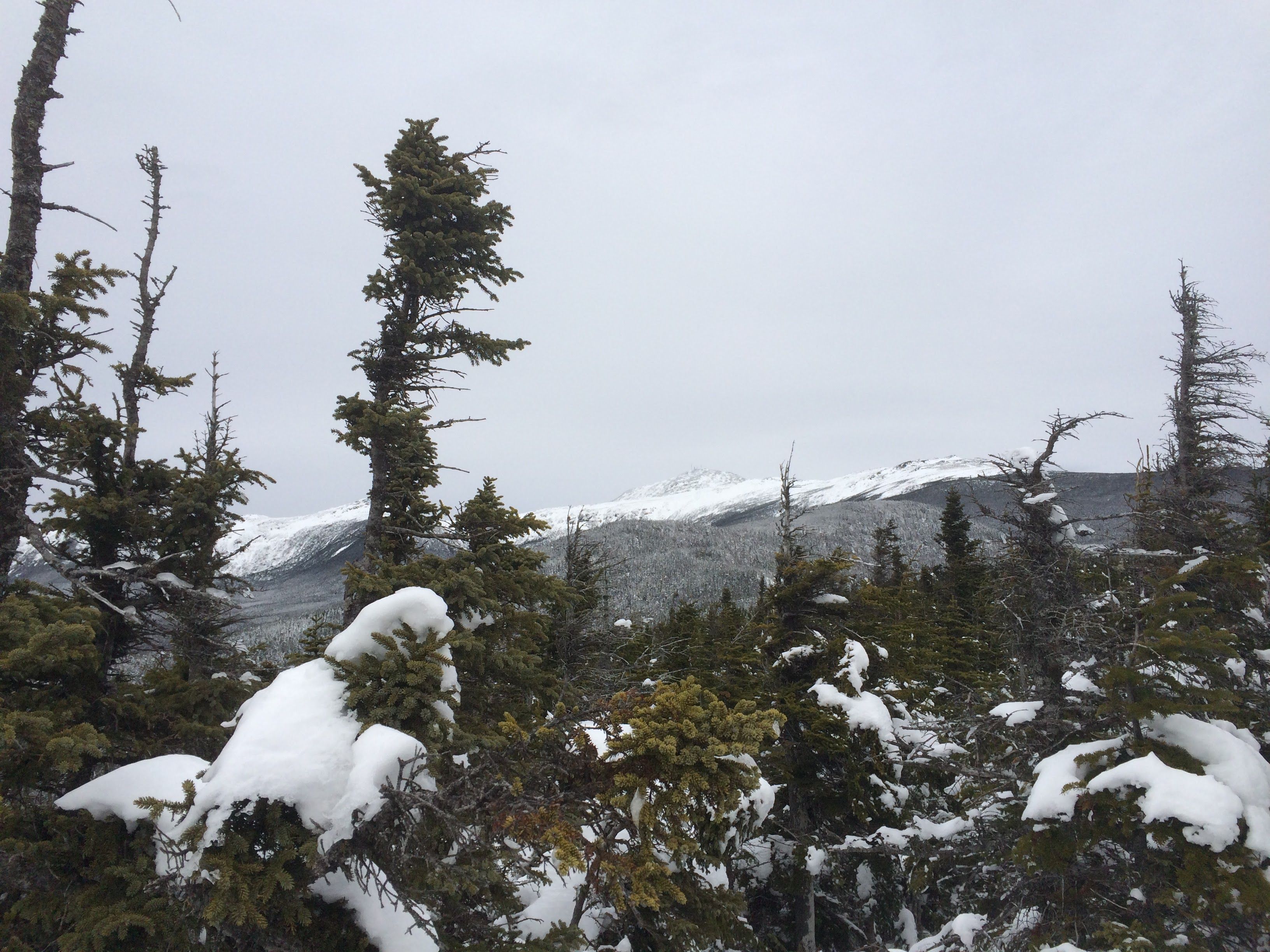 Hiking photo from 2015-01-24