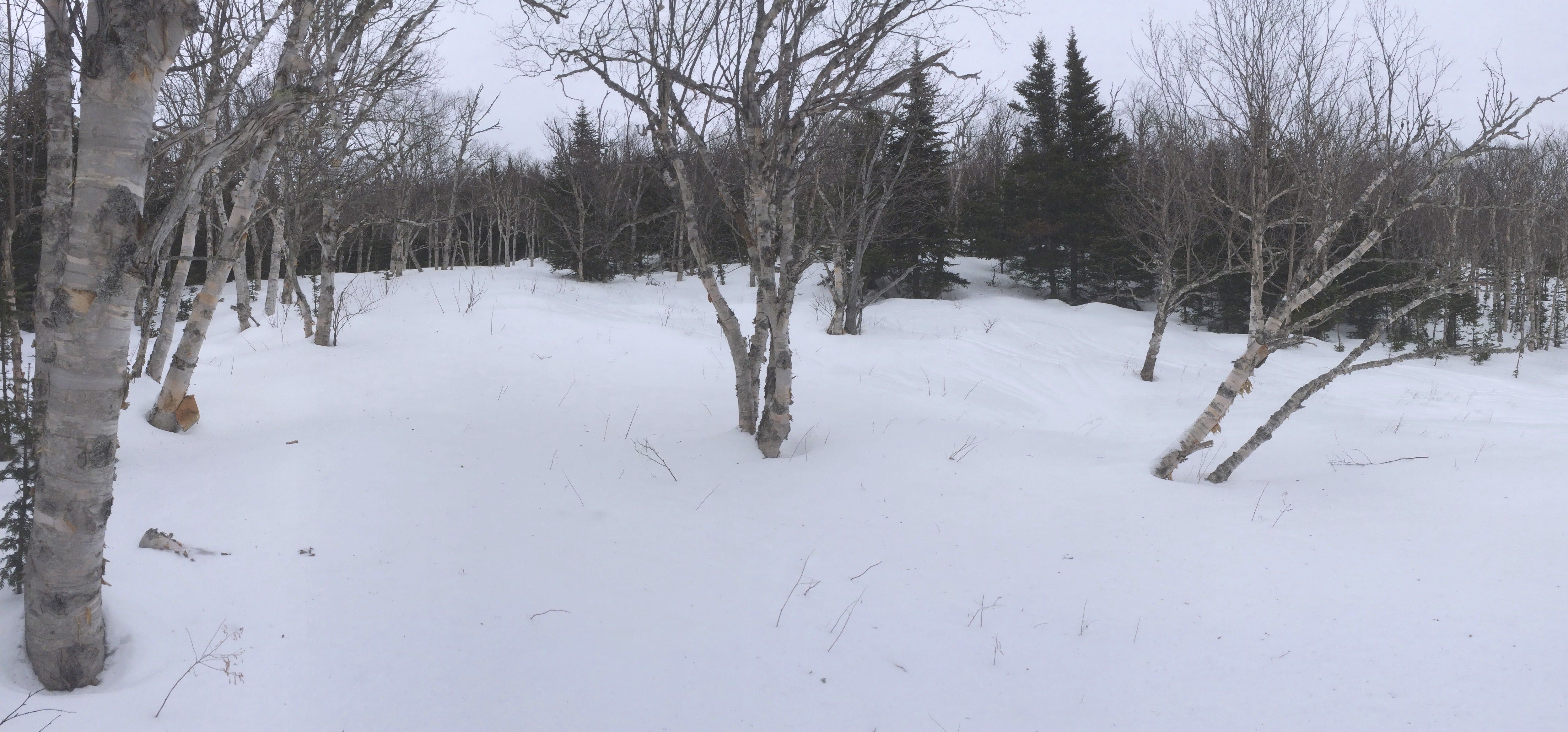 Hiking photo from 2015-01-24